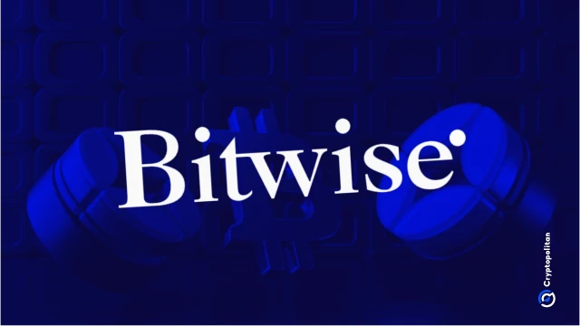 CEO Bitwise có thông điệp dành cho các nhà đầu tư tiền điện tử đang theo đuổi cổ phiếu AI