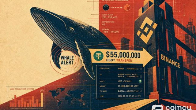 Whale Alert Detects $55M USDT Transfer to Binance