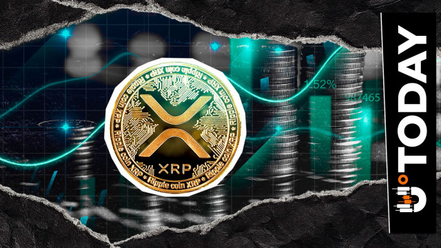 XRP Profit Realization Surges by 240%