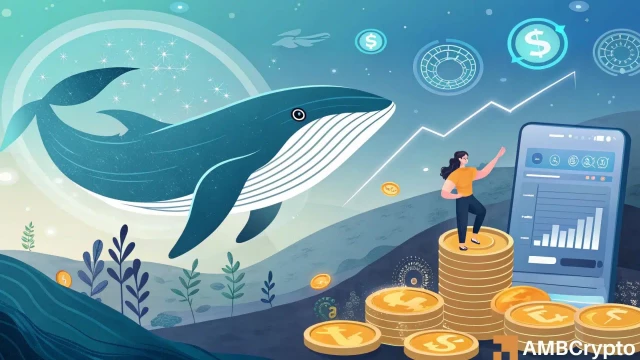 Solana – Examining impact of $11M whale buy on SOL prices