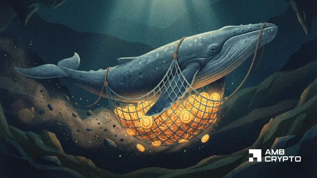Bitcoin Futures hit $800T as whales pile in – Is demand for BTC back?