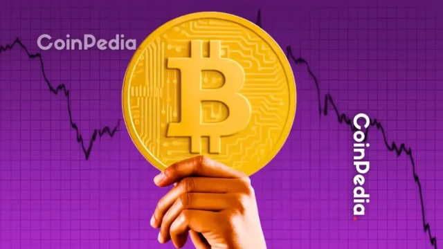 Bitcoin Falls 49% From Peak, But Miners Show No Sign of Capitulation