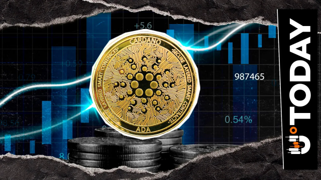 Most Cardano Holders Are Deeply Underwater
