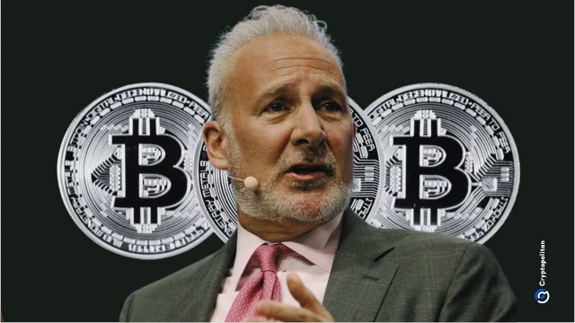 Peter Schiff says only an unlikely government intervention can save Bitcoin