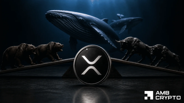 XRP whales drive 55% of Binance withdrawals – Is $1 floor safe?
