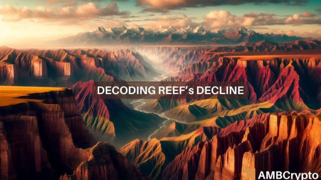 Examining REEF crypto's 80% decline in 24 hours – How, why, and what next?