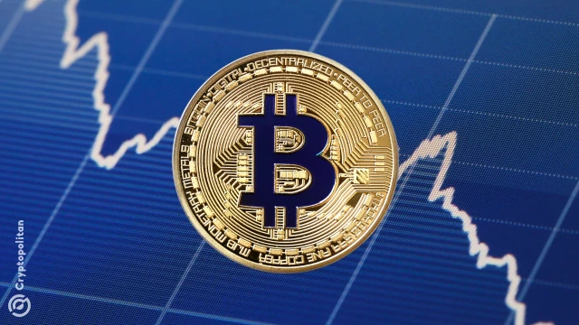 KindlyMD Chief cautions that not all Bitcoin treasuries will survive