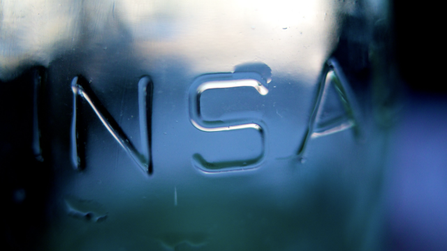 NSA Trying to Backdoor Crypto Again, Peter Todd Says