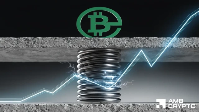 BCH liquidation clusters build above price — Is $232 next?
