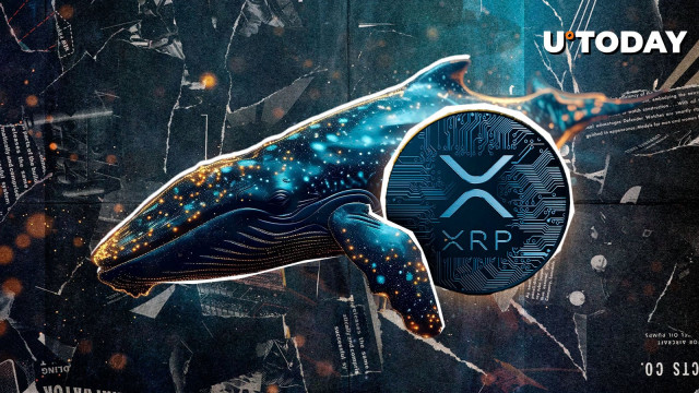 Whales Go on XRP Buying Spree