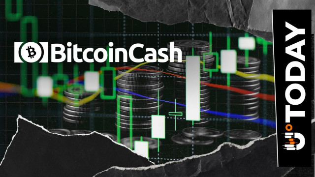 Bitcoin Cash (BCH) Rockets 61,561% in Liquidation Imbalance, Price Reacts