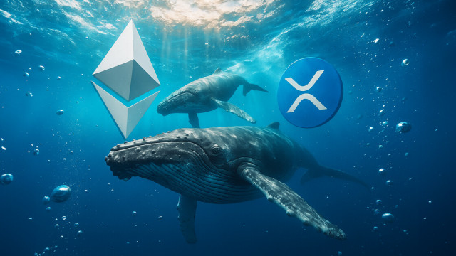 While Ethereum whales rotate, XRP data shows a fatal concentration flaw that leaves one group holding the bag.