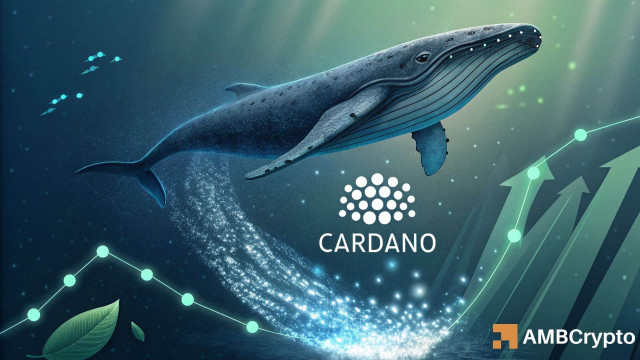 Cardano: What rising whale outflows mean for ADA's next leg up