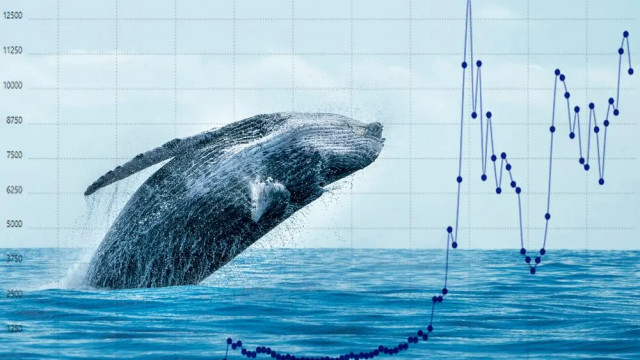 Whales Scoop 280M XRP in 10 Days as Wellgistics Taps XRPL