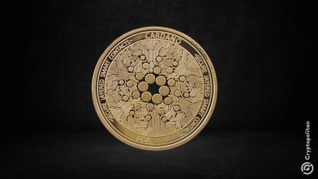 Cardano experienced a temporary chain split after a malformed transaction exposed a software flaw