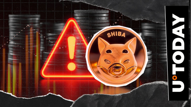 SHIB Exec Calls FBI, RCMP, and INTERPOL to Action on Surging Cyber Attacks