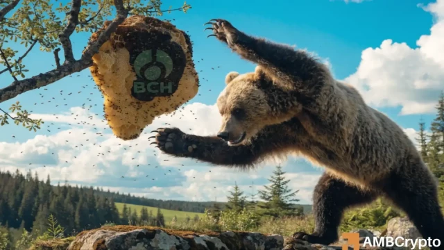 Why Bitcoin Cash traders can expect a relief rally after BCH's 25% price bleed