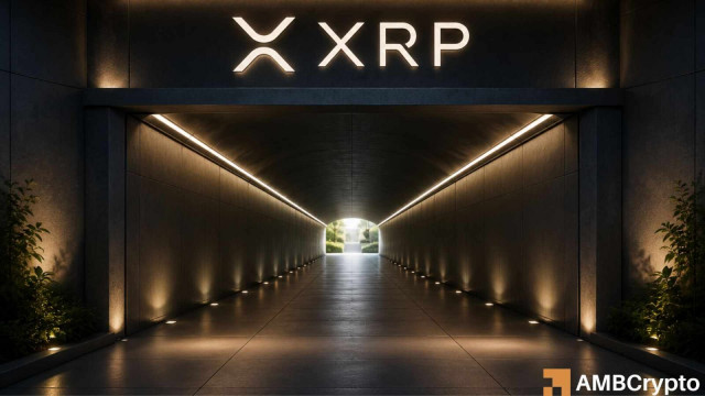 Can XRP's price recover as whale holdings surge to an 8-year high?