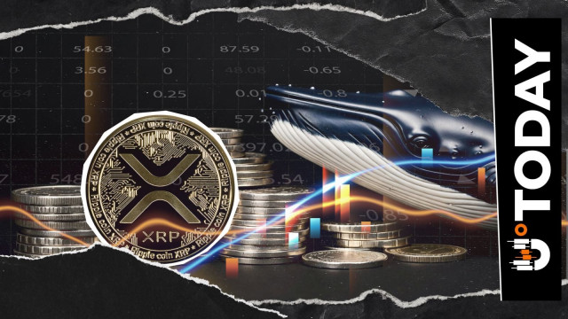 XRP Bloodbath Nearly Liquidates $35 Million Whale Position: Details