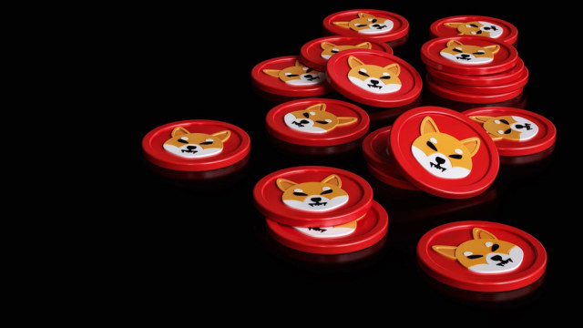 Shiba Inu (SHIB) Team Says Experiment Continues Amid Price Surge