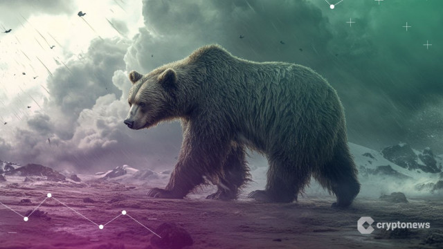 Featured image for article: A Storm Is Coming and Bear May Follow, Expert Says