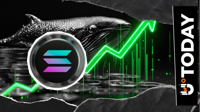 Dormant Solana Whale Awakens: 80,000 SOL Moved After 1 Year