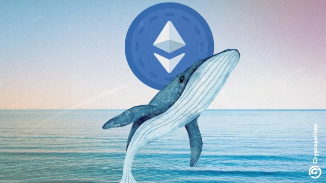 ETH accumulation trend continues as whales snap up 800K tokens from circulation