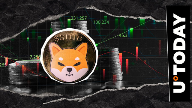 Shiba Inu (SHIB): 3 Key Levels to Decide