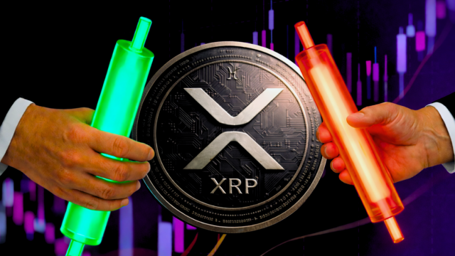 XRP Price News: What 25,000 New Wallets Mean for the $2 Level