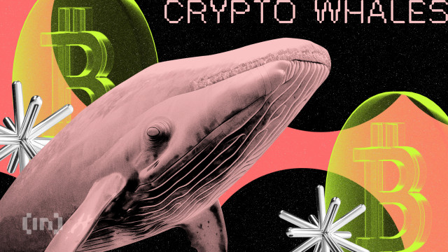 What Are the Crypto Whales Betting On This Uptober?