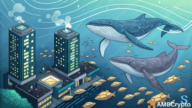 Solana's $14mln whale move vs retail exit – Which side controls $130?