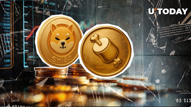 Big BONE 'Secret' Revealed by SHIB Team
