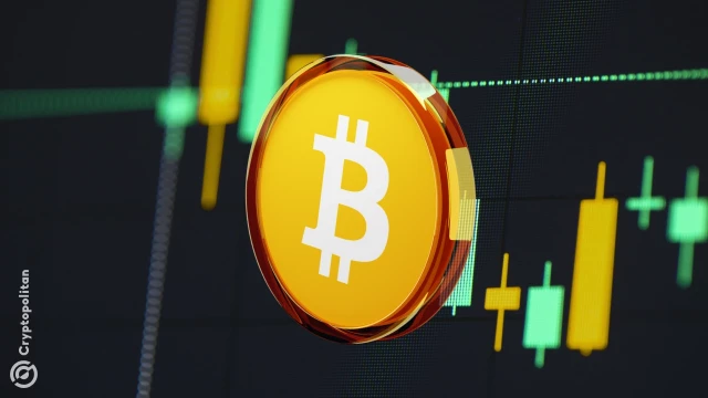 Binance sees strong rebound in BTC spot activity in November