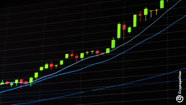 VINE token rallies after Elon Musk teased Vine reboot with AI integration