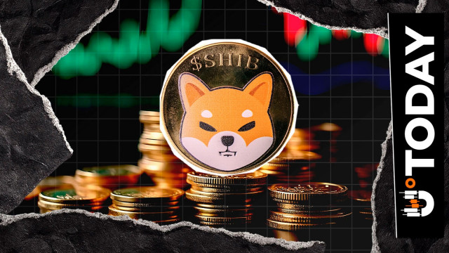 Shiba Inu Records 16% Surge in Active Addresses as Momentum Builds