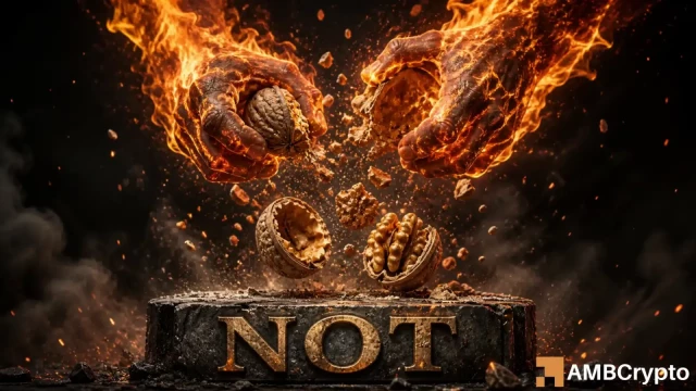 Notcoin breaks 89-day range – But THESE signals raise bull trap risks