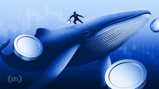 3 Altcoins Crypto Whales are Buying After Supreme Court's Trump Tariff Ban