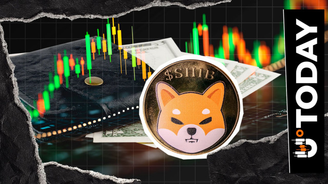 SHIB Holder Surge Update Shared by Shiba Inu Team: ‘Steady Growth'