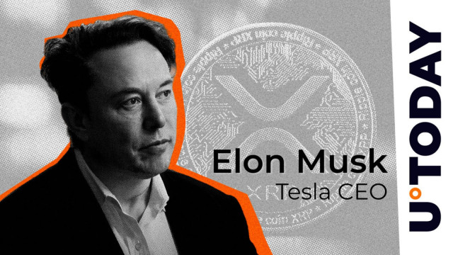 XRP, TSLA, and GME Among Top Searches on Elon Musk's X