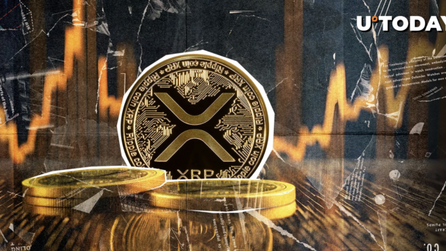 XRP Ledger's Network Growth Remains at "High Levels"