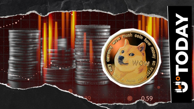 Dogecoin (DOGE) Lost 50% of Its Volume: Will It Actually Affect Price?