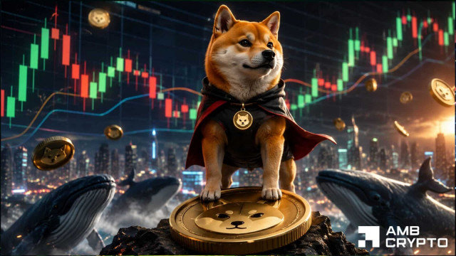 Has Shiba Inu entered a cooling phase after its explosive breakout? Assessing
