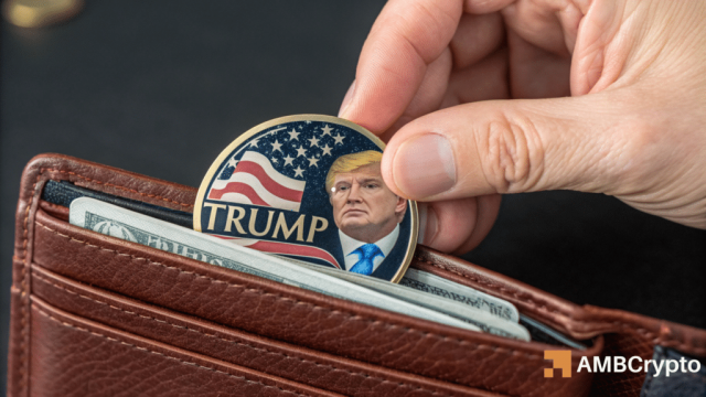 Official Trump: Will 5-month high whale activity trigger TRUMP's trend shift?