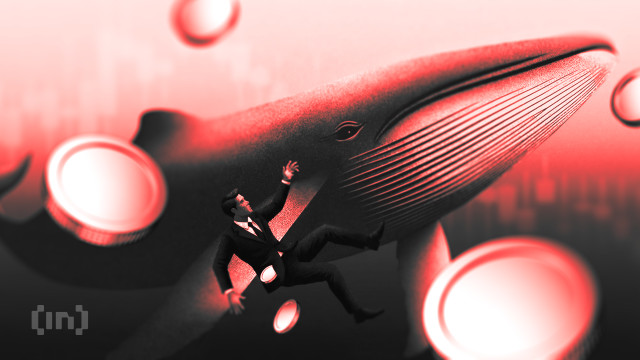 Investors Rotate Into DUSK After Missing XMR and DASH Rallies, but Data Raises Warnings