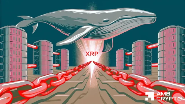 XRP whales are active, but the market is barely moving — Why?