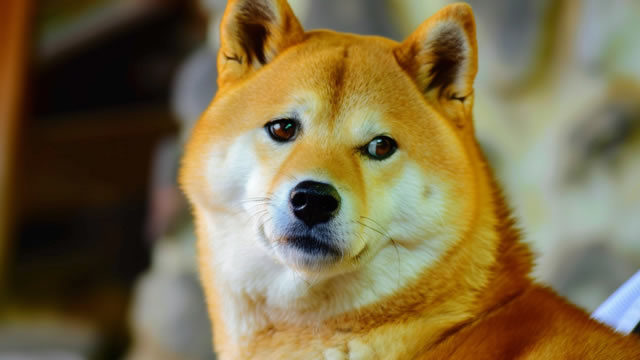 DOGE Breakout Confirmed? New Bullish Signal Emerges