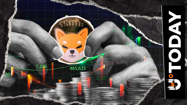 Shiba Inu Suffers Biggest Loss of 2026 in June