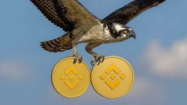 REX-Osprey files for BNB staking ETF after SOL ETF launch