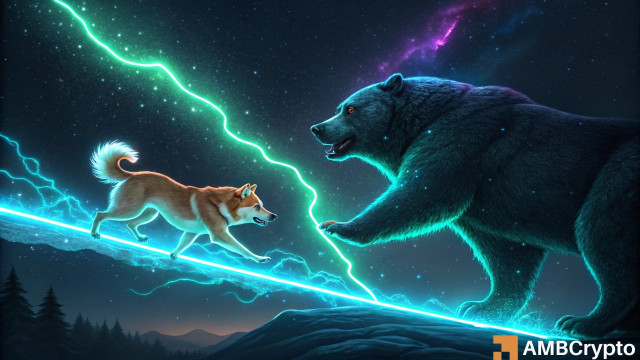 Shiba Inu's bear run can continue for another 7 months – Here's why
