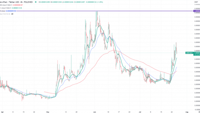 Meme Coin- Catwifhat